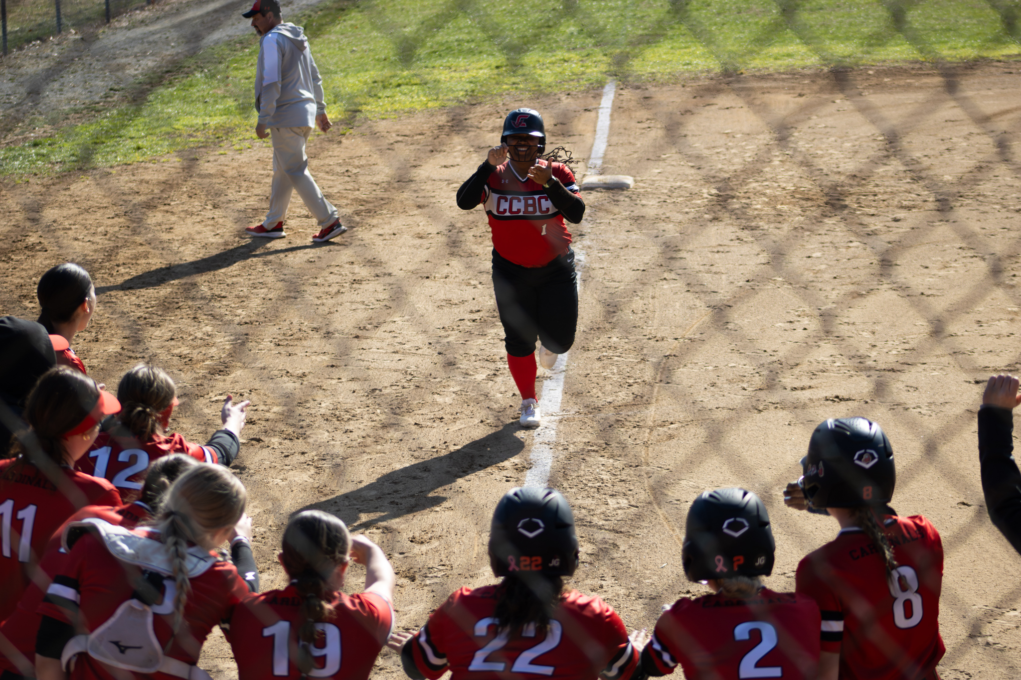 Region 20 Softball Championship Preview