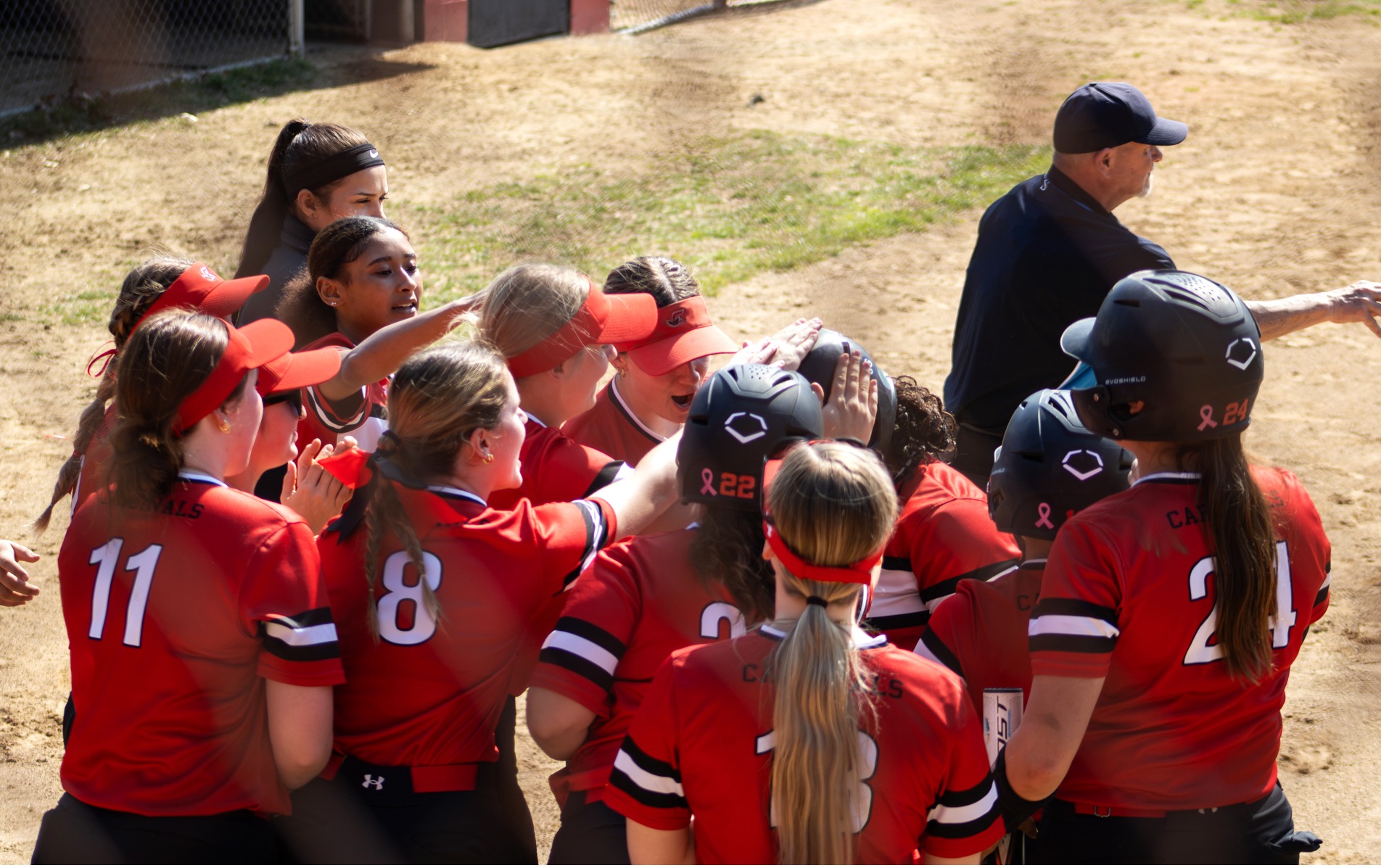 2026 Cardinals Softball Season Recap